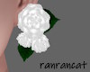 +earrings rose white