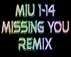 Missing You remix