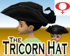 Tricorn Hat -v1a Female