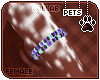 [Pets]Makybe|candyband L