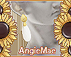 AM* Aura Earrings