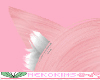 Cat Ear Bubblegum