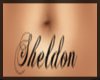 Sheldon Belly Tatt
