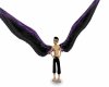 (ks)animated wings