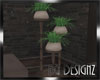 [BGD]Plant Stand