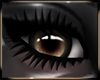 Gemma Eyes V.2 M/F