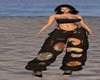 MS SET Sexi Rainbow
