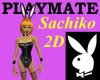 Playmate Sachiko 2D