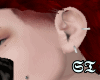 𝕾𝕿!! New ear ll
