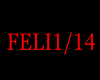 Song-Feliz Navidad M.T.