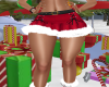 Santa Skirt RL