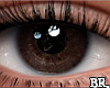 Eyes Brown