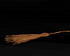 Witches Broom animated