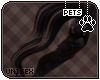 [Pets] Apollo | tail v4