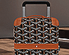 Luggage #6
