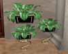 DeLa* Potted Plant 2