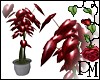[PBM] Red Heart Planter