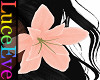 V4 Marguerite Flower