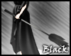 BLACK witch broom