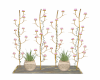 Plant Pots & Candles