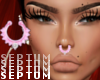 Septum V3