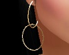 ~CR~Gold  Hoops Earrings