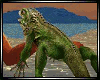 Animated Iguana