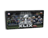 Sports TV wall mount