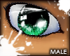 (AA)M-Mint-eyes