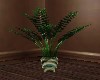 POTTED FERN PLANT