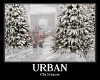 Urban Christmas