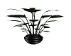 Black Vase with Plant