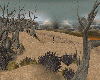 [bu]Desert Dreamland