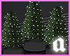 Potted mini trees