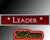 [2S] Leader