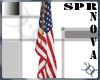 American Flag Display