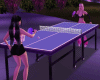 J~ Ping Pong Table