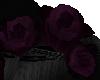 Purple roses crown