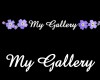 my gallery