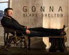 Blake Shelton- Gonna