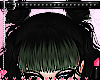 *P Bangs Envy