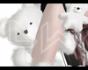 DW. Teddy Bag