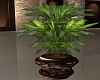M.POTTED PLANT