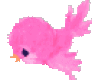 Pink Bird/R