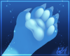 Bohnes | Paws