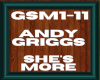 andy griggs GSM1-11