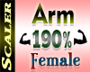 Arm Resizer 190%