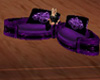 [MA] couche purple 