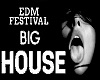 Edm Festival big ( p2 )