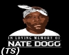 (TS) Rip Nate Dogg Tee